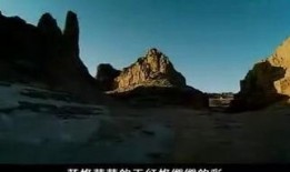 走戈壁的女人全集在线观看,女性勇者徒步传奇