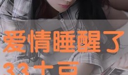 在线观看33,揭秘数字背后的故事