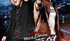 痞子英雄3在线观看,在线追击，正义再起