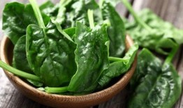 吃瓜菠菜视频下载免费,揭秘吃瓜菠菜视频免费下载攻略