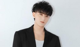 歌手2024娱乐圈吃瓜,娱乐圈风云再起，吃瓜群众狂欢盛宴