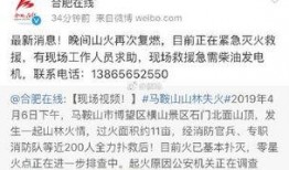 合肥爆料最新消息新闻视频,视频揭露重大事件详情