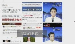 于适娱乐圈爆料,揭秘于适背后惊人真相