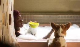 小狗情人爆料视频播放大全,视频播放大全精彩回顾