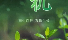 万物生长在线观看免费,探索生命奥秘的视觉盛宴