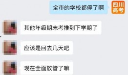 成都今日爆料最新消息,惊曝重大事件，详情即将揭晓！