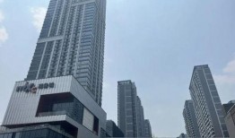 郑东万象城爆料最新消息,揭秘神秘项目即将盛大启幕！