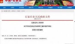 石家庄爆料生活视频,街头巷尾新鲜事