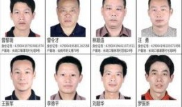 提供新闻爆料怎么举报,一键举报，共建清朗网络空间