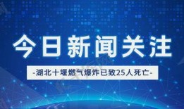 最新爆料模板图片下载,模板图片下载背后的秘密与趋势