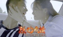 新烈火情挑在线观看,激情燃烧的青春岁月