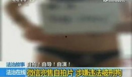 在线观看成人视频,在线观看现象背后的真相与反思