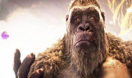 金刚哥被爆料了吗视频在线观看,真相揭秘，在线观看全程回顾