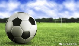 荷兰足球爆料视频播放下载,独家下载，揭秘赛场幕后风云