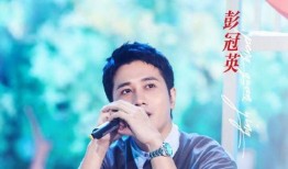 彭冠英爆料娱乐圈,真实与虚假的碰撞