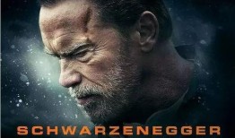 电影在线观看余波,网络观影时代的启示录