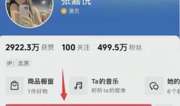 张小寒最新爆料视频三亚,揭秘神秘事件背后的真相