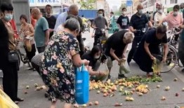 周口老人爆料视频大全集,揭秘民间故事与生活点滴