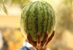 娱乐吃爆瓜,爆瓜盛宴，明星幕后故事大公开