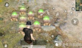 吃鸡双马尾皮肤最新爆料,双马尾魅力绽放！吃鸡新皮肤爆料来袭