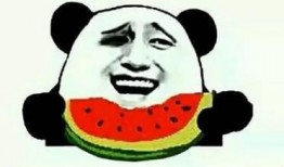 娱乐吃瓜酱的背景,揭秘娱乐圈幕后故事与热点事件