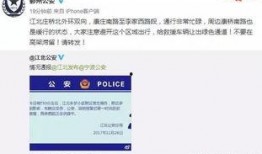 宁波新公司爆料事件视频,揭秘企业内部惊人真相