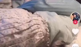 韩安冉最近爆料泽西视频,真相令人震惊