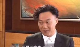 陈奕迅采访爆料视频全集,揭秘音乐人生与情感历程