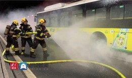 胶州最新爆料新闻视频,视频揭露惊人真相，引发社会关注