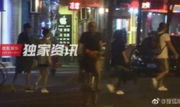 狗仔爆料王丽坤视频全集