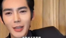 于适娱乐圈爆料,揭秘于适背后惊人真相