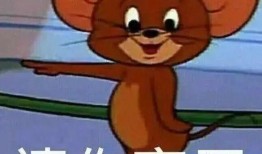 杰瑞直播回放爆料视频