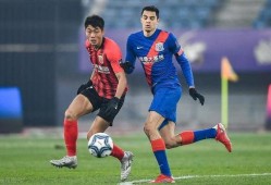 申花最新爆料,揭秘球队备战新赛季的幕后故事