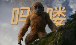 金刚哥被爆料了吗视频在线观看,真相揭秘，在线观看全程回顾