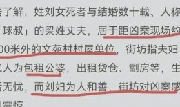 香港爆料家暴案件最新情况,受害者权益亟待关注与保护