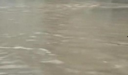 爆料广州暴雨最新消息,城市紧急应对，交通受阻，市民共抗洪涝灾害