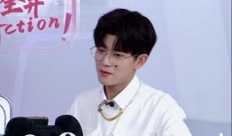 爆料视频任嘉伦,揭秘明星幕后生活