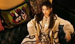 张奕作者爆料最新消息,揭秘娱乐圈不为人知的幕后真相