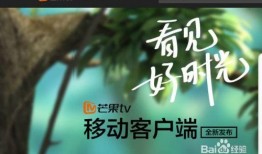 芒果电视在线直播观看