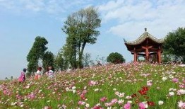 十洲公园爆料视频,美景与奇观尽收眼底