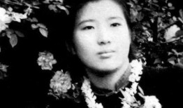 韩婧格免费吃瓜,揭秘娱乐圈幕后故事