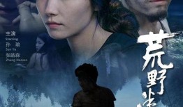 电影情迷在线观看,网恋奇缘，虚拟与现实的爱恋纠葛