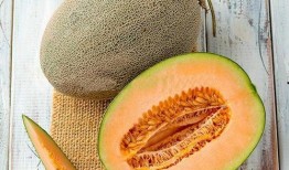 甜瓜爆料炮台视频大全,揭秘热门游戏幕后精彩瞬间