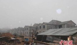 新郑龙湖镇爆料事件视频,视频揭露惊人真相