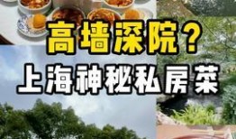 西安美食爆料原创视频,揭秘原创视频中的美味秘籍