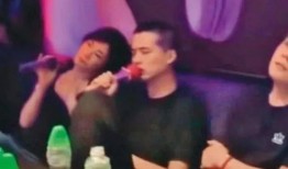 甄妮爆料谢霆锋王菲视频,一段被尘封的往事重见天日