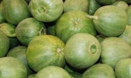 甜瓜爆料完整视频下载,揭秘幕后真相