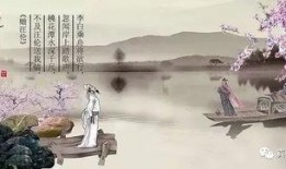 汪伦最新爆料视频大全