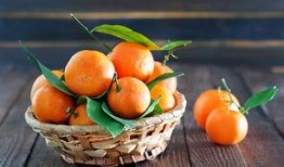 娱乐吃瓜橘子视频大全,全网热门娱乐吃瓜橘子视频大盘点