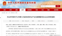 合肥企业爆料事件视频曝光,揭露企业内幕引发关注